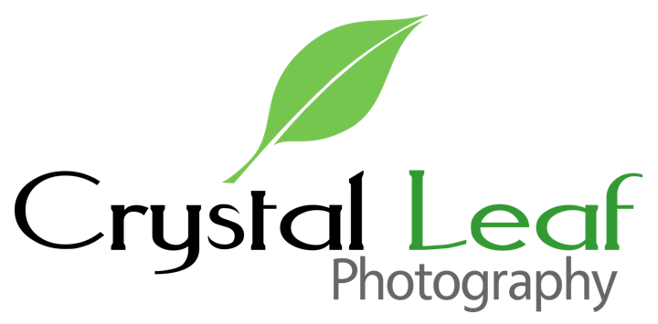 Crystal Leaf Photography